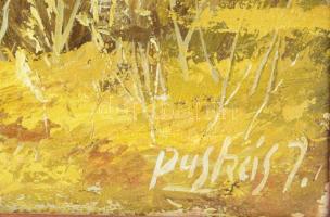 Puskás Imre (1933 - ): Tiszapart. Olaj, farost, jelzett, hátoldalán autográf felirattal, dekoratív f...