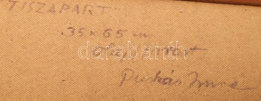 Puskás Imre (1933 - ): Tiszapart. Olaj, farost, jelzett, hátoldalán autográf felirattal, dekoratív f...