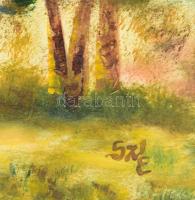 Sztankó Éva (?-): Jeli arborétum. Olaj, farost. Jelzett. 10x30 cm. Dekoratív fakeretben