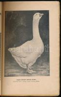 Hreblay Emil: Lúd- és kacsatenyésztés. A szöveg közé nyomott 68 ábrával. Kolozsvár, 1909, Gombos Fer...