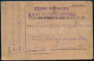 1917 Tábori posta levelezőlap "Betegápolási ügyben portómentes. / CS. és KIR. SZÜKSÉGTARTALÉKKÓRHÁZ / SEGESVÁRT" , "K.u.k. Militarzensur / KOLOZSVÁR"