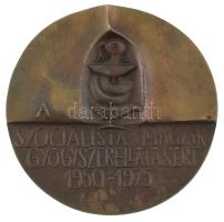 Ligeti Erika (1934-2004) 1975. "A Szocialista Magyar Gyógyszerellátásért 1950-1975" kétoldalas bronz plakett (97mm) T:AU kis ph