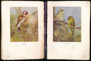 Vertse Albert: A kert madárvilága. Dr. Csörgey Titusz, Vezényi Elemér és Nécsey István festményeivel...