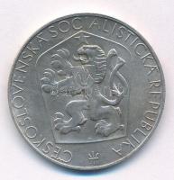 Csehszlovákia 1965. 25K Ag "A felszabadulás 20. évfordulója" T:XF kis ph, patina
Czechosl...