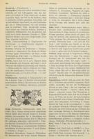 Orientteppiche... Das Lexikon. Szerk.: Kurt Zipper. Klinkhardt & Biermann: Braunschweig, 1970. K...