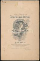 cca 1900-1910 Elegáns fiatal fiú portréja, kabinetfotó Scherling Antal festő és fényképész szatmári ...