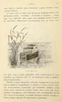 Herman Ottó: A magyar halászat könyve. I. kötet. Természettud. Könyvkiadó-Vállalat XXVII. Bp., 1887....