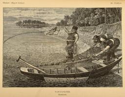 Herman Ottó: A magyar halászat könyve. I. kötet. Természettud. Könyvkiadó-Vállalat XXVII. Bp., 1887....