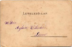 1901 Szelistye, Salistea Sibiului, Saliste; látkép / general view (EK)