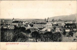 1909 Gyulafehérvár, Alba Iulia; látkép. Petri F. Vilmos kiadása / general view (fl)