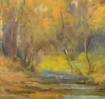 Olvashatatlan jelzéssel: Vízparti táj. Olaj, vászon. 60×80 cm