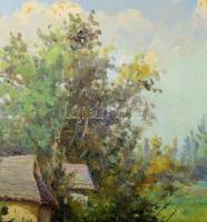 Olvashatatlan jelzéssel: Napos táj. Olaj, vászon. 60×80 cm