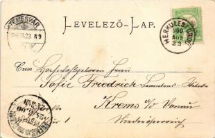 1900 Herkulesfürdő, Baile Herculane; látkép. Kecskeméti Sándor kiadása / general view, spa (kis szak...