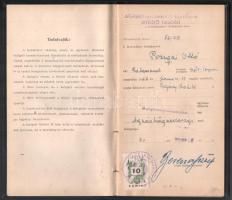 1953-1956 Mezőgazdasági mérnöki oklevél és leckekönyv