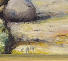 CAW jelzéssel: Vitorlás a vízen. Olaj, vászon, dekoratív keretben 40x50 cm