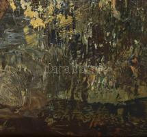 Szanthoffer Imre (1930-2007): Holtág. Olaj, farost, jelezve jobbra lent. Dekoratív fakeretben, 60×80...