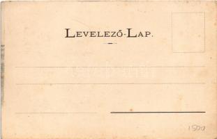 Pomáz, Margitliget gyógy- és üdülőhely, Dr. Mártin Sándor tulajdona, szélmotor. Sartchner Árpád felv...