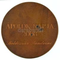 2008. "Budai Irgalmasrendi Kórház" bronz emlékérem, hátoldalán "Ápolók napja 2008&quo...