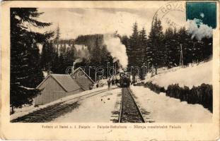 1932 Komandó, Kommandó, Comando, Comandau; Vedere al liniei c.f. Paisele / Paisele Bahnlinie / Naruja vonalrészlet Paisele télen, iparvasút, gőzmozdony, vonat. Foto Adler Oscar / industrial railway, locomotive, train in winter (EK)