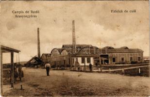 1926 Aranyosgyéres, Gyéres, Ghiris-Aries, Campia Turzii; Fabrica de cuia / Szeggyár / nail factory (EB)