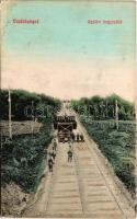 1909 Vajdahunyad, Hunedoara; Gyalári hegyi sikló, iparvasút / Ghelari industrial railway, funicular (Rb)