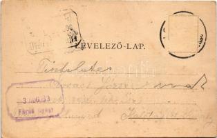 1903 Feredőgyógy, Fürdőgyógy, Algyógyfürdő, Baile Geoagiu, Feredeu; Rákóczy és Apaffy sor, vízesés, ...