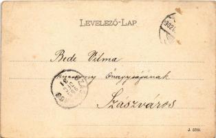 1902 Déva, kilátás a várból, újévi üdvözlettel. Hirsch Adolf kiadása / view from the castle, with Ne...