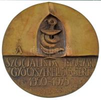 Ligeti Erika (1934-2004) 1975. "A Szocialista Magyar Gyógyszerellátásért 1950-1975" kétoldalas bronz plakett eredeti dísztokban (97mm) T:UNC