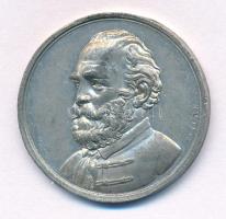 1860. "Széchenyi István - 1860 április 8-án" kétoldalas Sn halotti emlékérem (29mm) T:XF