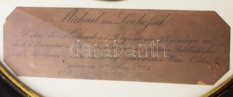 Lenhossék Mihály Ignác (1773-1840) orvos, többek között gr. Széchenyi István háziorvosának portréja,...