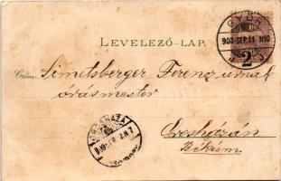 1900 Győr, pályaudvar, vasútállomás, vonat, gőzmozdony, régi Rába híd, városháza. Röszler Károly kia...