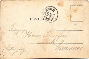 1904 Vajdahunyad, Hunedoara; látkép, vár. Ideal könyvnyomda kiadása / general view, castle (EM)