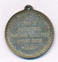1885. "Az 1885iki Budapesti Országos Kiállítás Emlék Érme/ Rudolf trónörökös a kiállítás védnök...