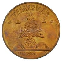 1989. "Temesvár 1514,1989 / Ne hagyd el Erdélyt, Erdélyt Istenem" aranyozott fém emlékérem...
