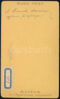 cca 1870 Buda-pest (Budapest), kocsi a Magyar Nemzeti Múzeum épülete előtt, keményhátú fotó Zograf &...