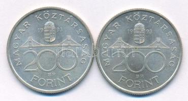 1993. 200Ft Ag "MNB" (2x) T:AU,XF patina, kis karc
Adamo F13