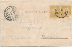 1904 Dombóvár, Szolgabíróság (ázott / wet damage)