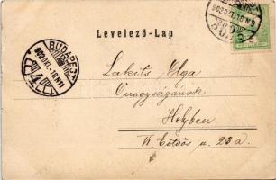 1902 Blaha Lujza. Strelisky felvétele, Budapest (kis szakadások / small tears)