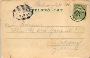 1902 Savanyúkút, Bad Sauerbrunn bei Wiener Neustadt; Brunnen, Sauerbrunn, Badhaus / forrás kút, látk...