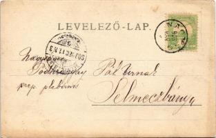 1903 Nagyág, Sacaramb (Hunyad); látkép templomokkal / general view with churches. photo (EB)