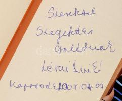 Lévai Anikó: A konyhaablakból. A szerző, Lévai Anikó (1963-) jogász, Orbán Viktor miniszterelnök fel...