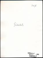 cca 1930-1940 Szendrő István (1908-2000): Géderlak, asszonyok népviseletben, Gyöngyösbokréta mozgalo...
