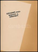 cca 1930-1940 Szendrő István (1908-2000): Budapest, koronaőr, hátoldalon pecséttel jelzett fotó, 17×...
