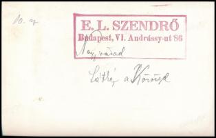 cca 1930-1940 Szendrő István (1908-2000):Nagyvárad, látkép, hátoldalon pecséttel jelzett fotó, felir...
