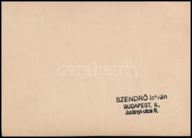 cca 1930-1940 Szendrő István (1908-2000): Részlet a koronaőrség jelentéseiből, hátoldalon pecséttel ...