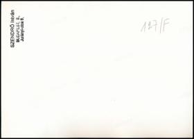 cca 1930-1940 Szendrő István (1908-2000): Budapest, Szent Jobb körmenet a Mátyás-templom előtt, háto...