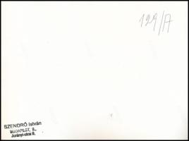 cca 1930-1940 Szendrő István (1908-2000): Budai Vár, a testőrség felvonulása, hátoldalon pecséttel j...