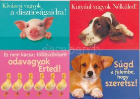 25 db modern állatos humor motívum képeslap / 25 modern animal humour motive postcards