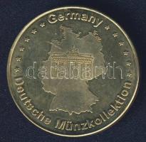 NSZK DN "Schwanenburg" aranyozott fém emlékérem T:PP