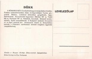 Lillafüred (Miskolc), Szépségével elbűvöl a vadregényes Bükk. A Magyar Királyi Államvasutak (MÁV) tu...